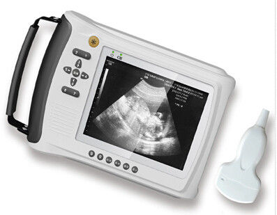 weird town chat mobile ultrasound weird town chat mobile ultrasound