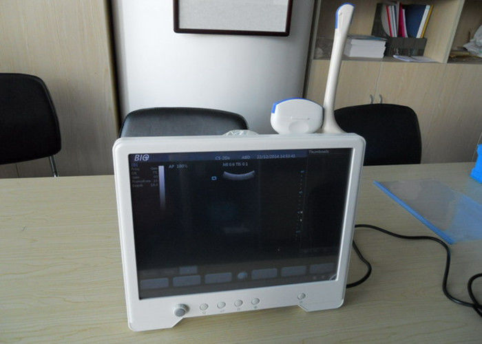 Convex Rectal Probe Cow / Sheep Veterinary Ultrasound Scanner 2 11 Mhz