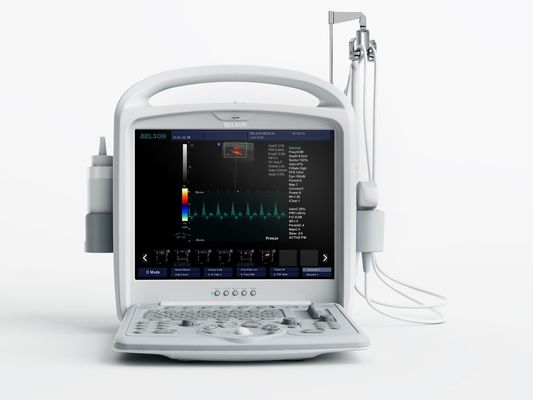 China Full Digital Portable Economical Color Dopper Test 5000L, 2.5 - 10 Mhz, 15” LCD monitor exporter