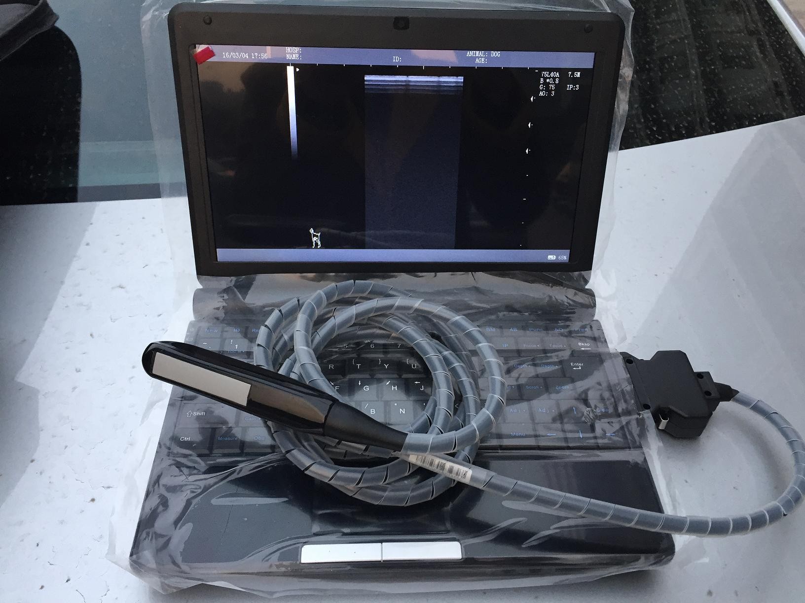 7.5MHz Linear Rectal Probe Veterinary Ultrasound Scanner Used for