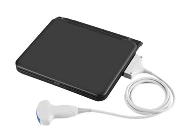 12 Inch LED Diagnostic Medical Ultrasound Laptop Ultrasound Scanner With One Probe Connect Vet Software Available