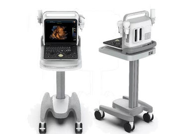 B ZOOM Portable Color Doppler Ultrasound Scanner Machine USB Port