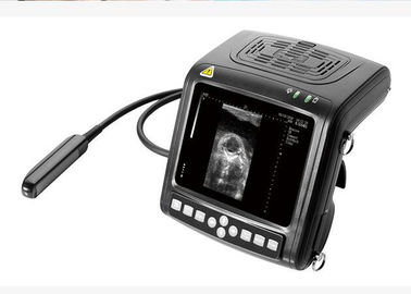 Handheld Vet B / W Ultrasound Scanner Diagnostic Equipment Multi - Frequency Probes