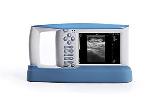 USB Diagnostic Ultrasound Equipment With OB Software For Animals And 100 Images Storage