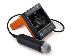 Digital Medical Veterinary Ultrasound Scanner With 3.5 Inch Screen And Frequency Of Porbe 2.5M 3.5M