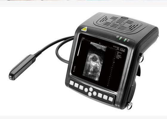 Digital Veterinary Ultrasound Scanner
