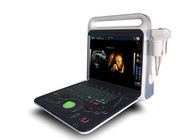 4D Function Optional Laptop Hand Held Doppler Machine With Transducer 2~12MHz