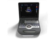 Portable Ultrasound Scanner Color Doppler Machine With 15 Inch LCD Monitor