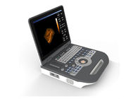 256 Level Full Digital 4D Color Doppler Machine With 15 Inch Touch Screen