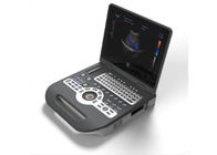 15” LCD Screen Portable Ultrasound Scanner Color Doppler With 2-12 Mhz Probes