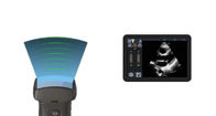 Mobile Hand Ultrasound Machine Ultrasonication Probe Supported Windows / Android / IOS