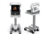 Digital Ultrasound Scanner Portable UItrasound Scanner 4D Cardiac Probe Optional