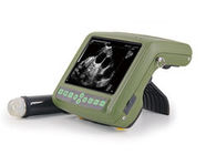 Digital Wrist Medical Usb Ultrasound Scanner For Animals Displaying Backfat Ruler