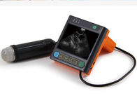 Digital Mechanical Sector Vet Ultrasound Scanner For Pig Sheep Dog Only 620g Weight