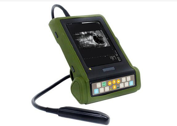 Ultrasound Unit Veterinary Ultrasound Scanner Hold On Wrist With 6.5MHz Linear Rectal Probe