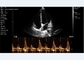 Personal Ultrasound Scanner Linear+Cardiac Probe 2.2MHz Mobile DICOM Format