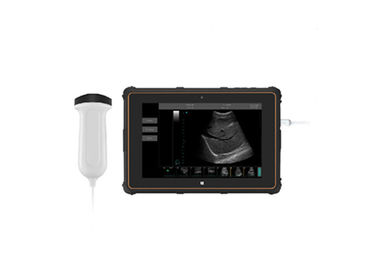 Portable Ultrasound Unit Portable Ultrasound Scanner 4 Types of Probes Available with Frequency 2~15MHz