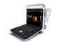 4 D 15 Inch LED Diagnostic Color Doppler Ultrasound Scanner With 2 Probe Connector