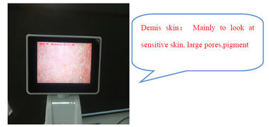 Handheld Digital Skin Analyzer Digital Skin Analysis Machine With 3.5 Inch Screen