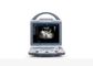 Mobile Ultrasound Scanner Portable Ultrasound Scanner with Transvaginal Linear Convex Probe