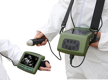 LCD Screen Veterinary Ultrasound Scanner For Bovine Equine Ovine Canine Feline Goat Swine Llama