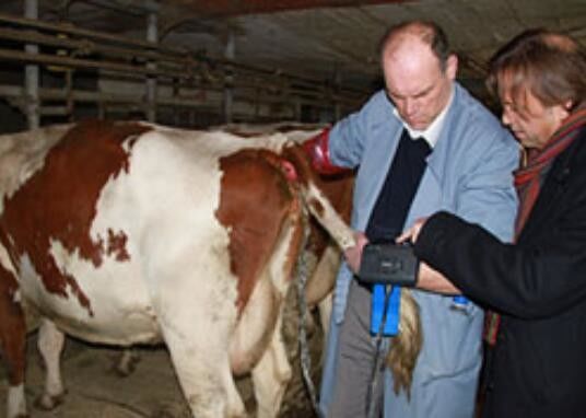 Digital Veterinary Ultrasound Scanner