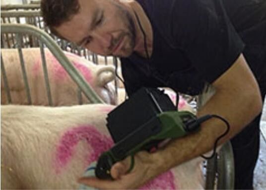 Mini Veterinary Ultrasound Scanner