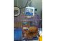 600ml/H Animal Vet 0-36000ml Veterinary Infusion Pump
