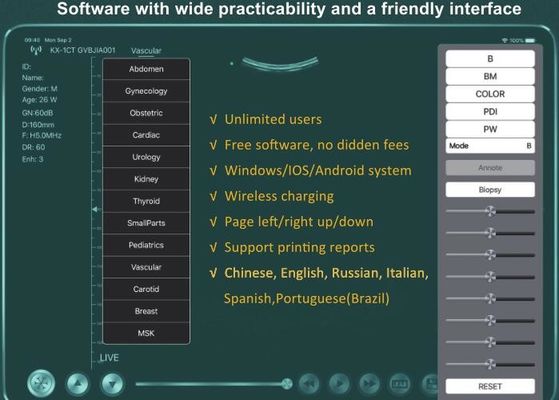 Digital Wireless Handheld Ultrasound Scanner
