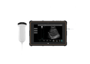 B Ultrasound Scanner Portable Ultrasound Scanner with B, B+B, B+M Mode USB Connection
